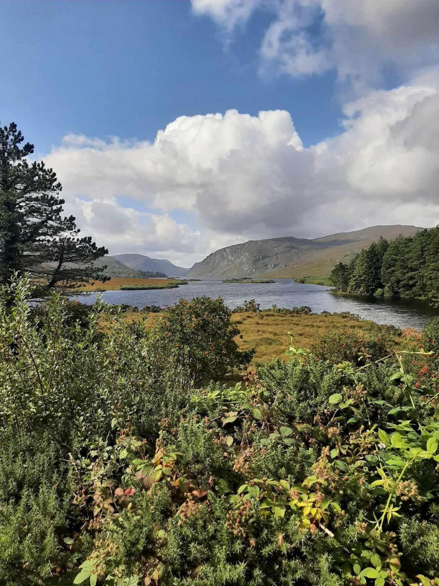 Ivy Lodge Letterkenny Exteriör bild